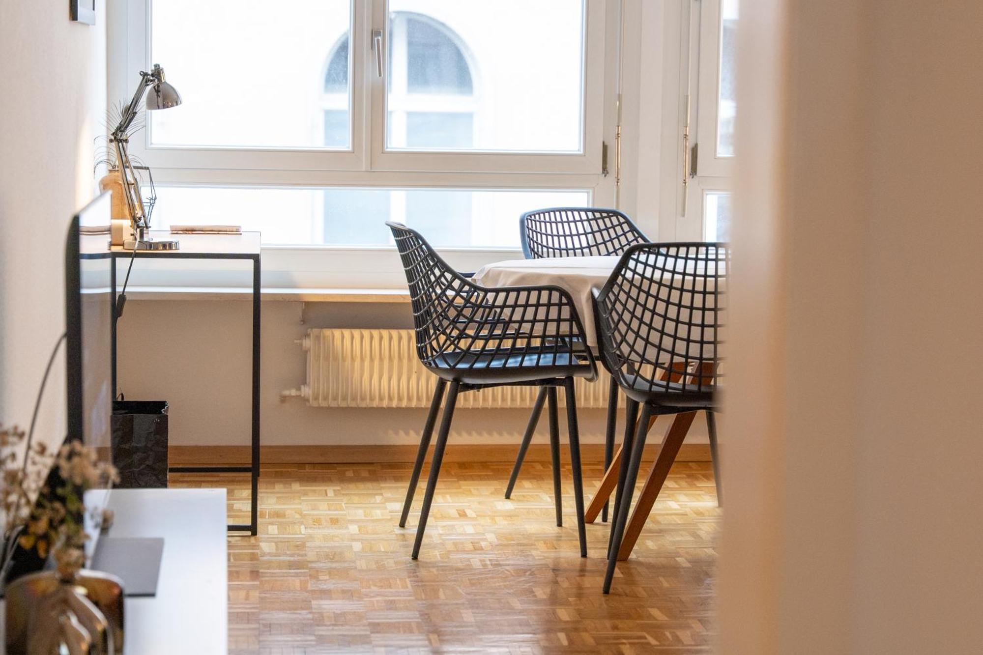 Gemuetliche Grosse Wohnung Naehe Uni Basel Ngoại thất bức ảnh