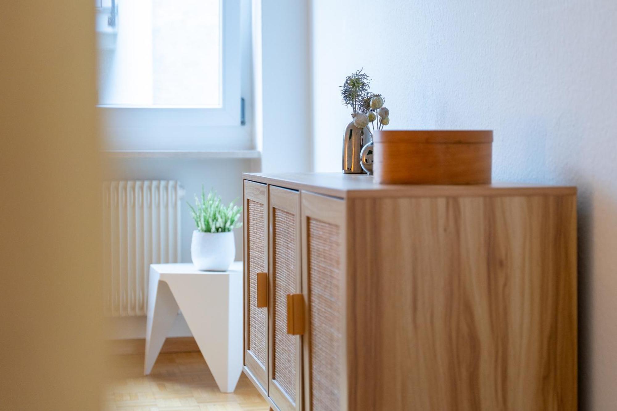 Gemuetliche Grosse Wohnung Naehe Uni Basel Ngoại thất bức ảnh